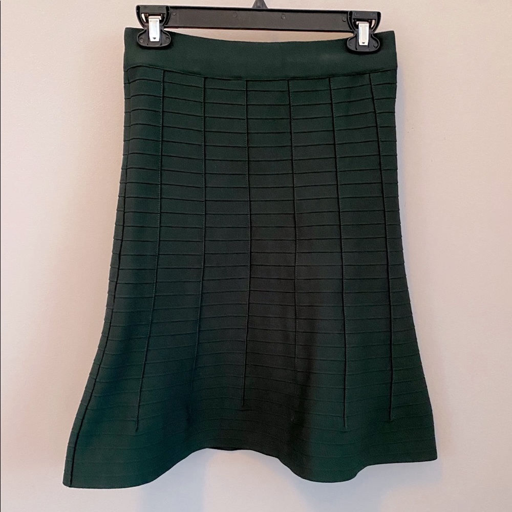 NWT fitted elastic skirt